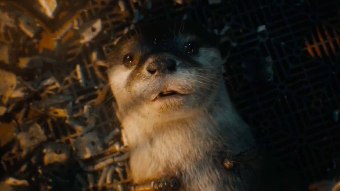 Guardians Of The Galaxy Vol 3 Lylla The Otter s Voice Actor Revealed guardians-of-the-galaxy-vol-3-lylla-the-otter-s-voice-actor-revealed