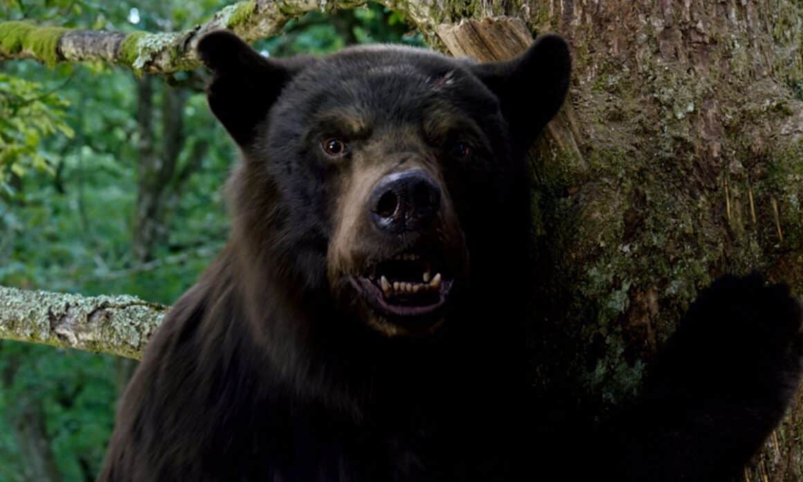 Elizabeth Banks DELIGHTED to direct Cocaine Bear Sequel