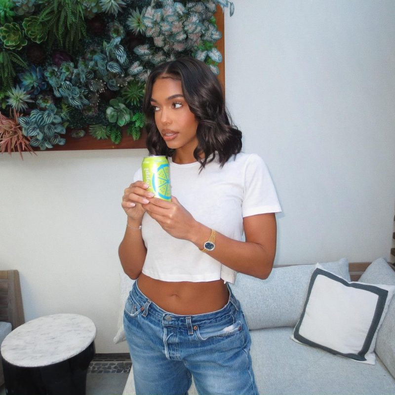 Who is Lori Harvey? How Much Net Worth? Lori Harvey Net Worth (Full Biography)