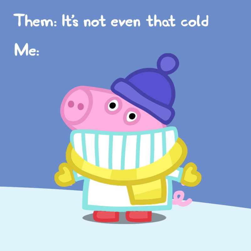 What Is Peppa Pig Height? The Truth Will Shock You